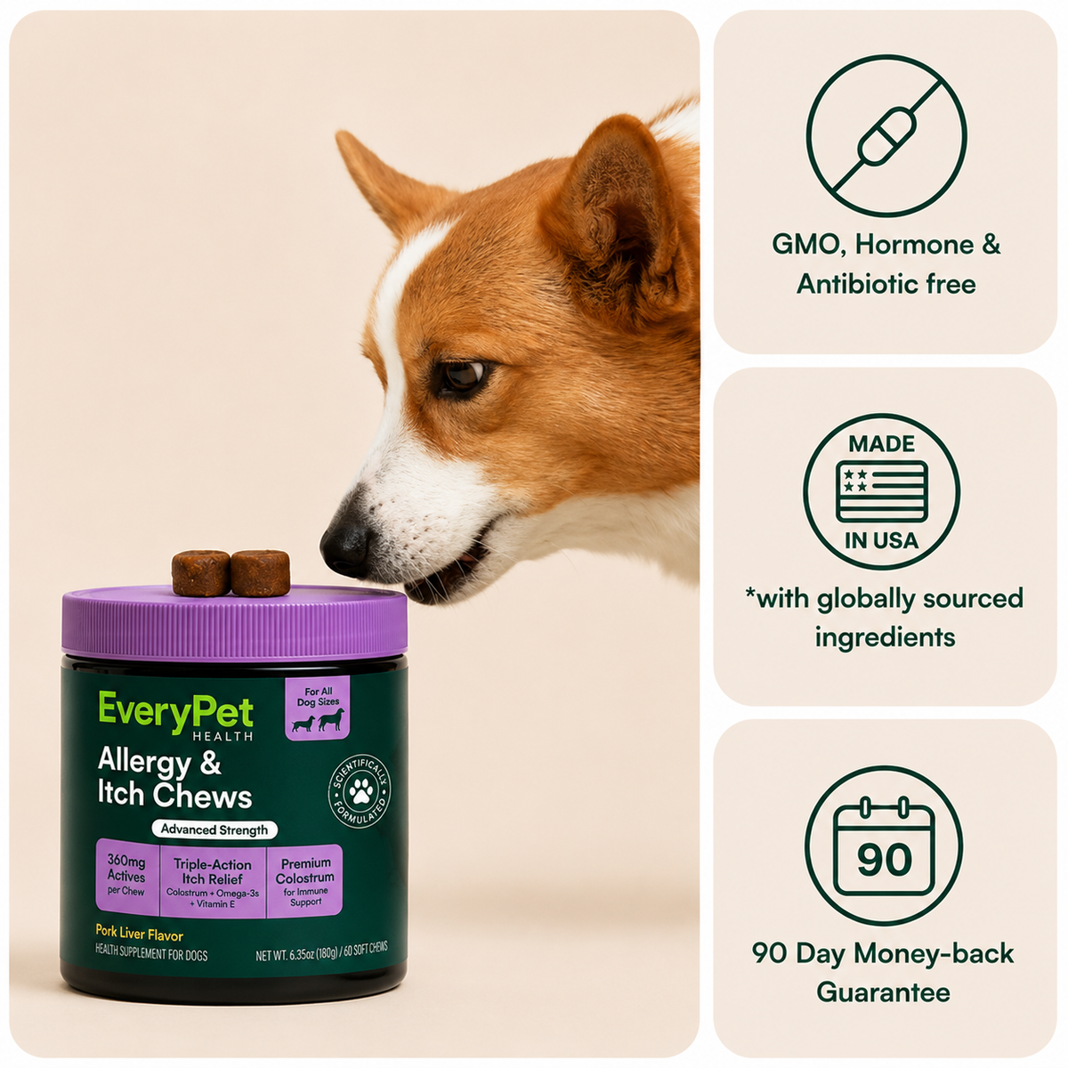 Allergy & Itch Chews
