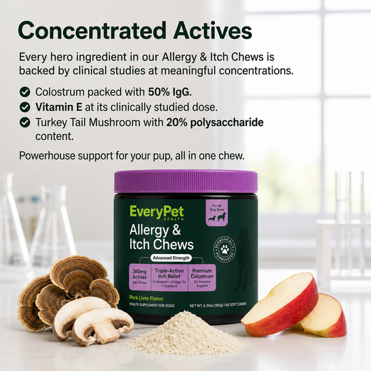 Allergy & Itch Chews
