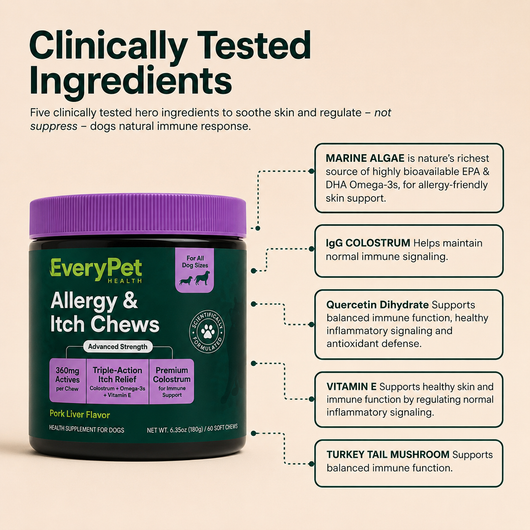 Allergy & Itch Chews
