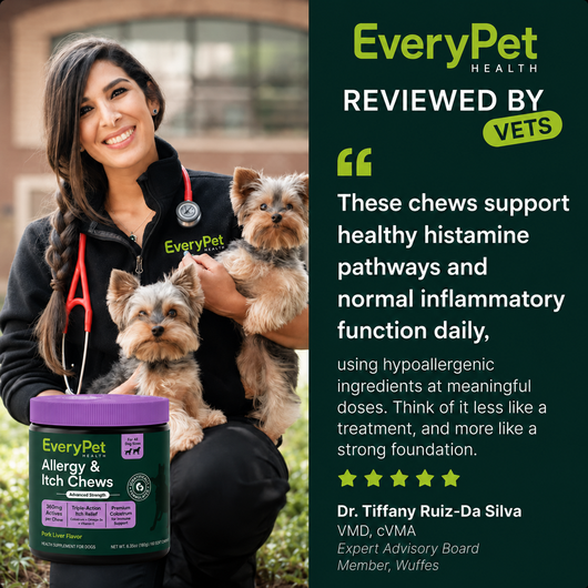 Allergy & Itch Chews