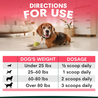 Hip + Joint for Dogs