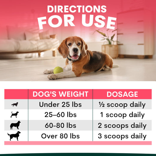 Hip + Joint for Dogs