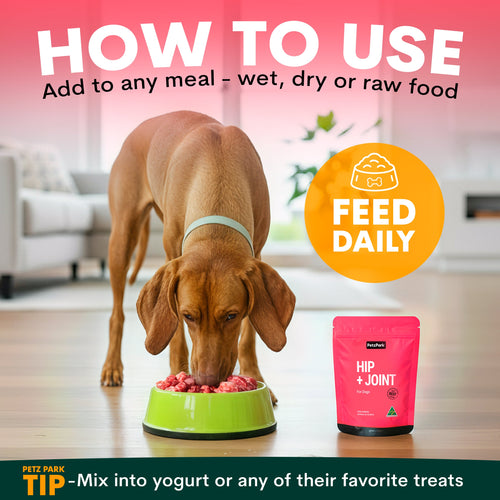 Hip + Joint for Dogs