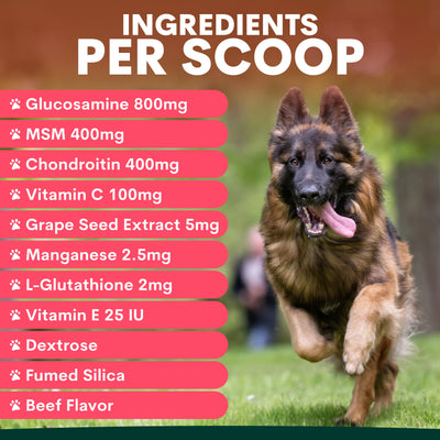 Hip + Joint for Dogs