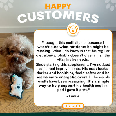 Multivitamin for Dogs