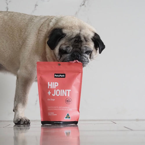 Hip + Joint for Dogs