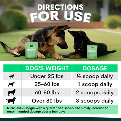 Probiotics for Dogs