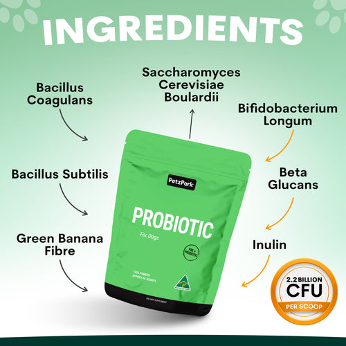 Probiotics for Dogs