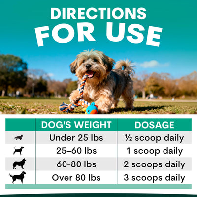 Plaque Control for Dogs