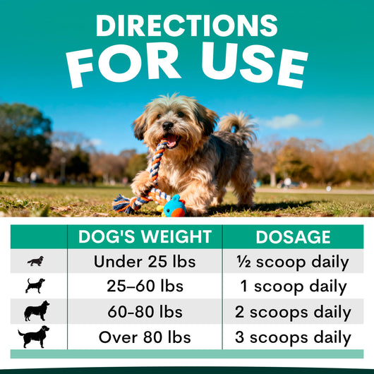 Plaque Control for Dogs