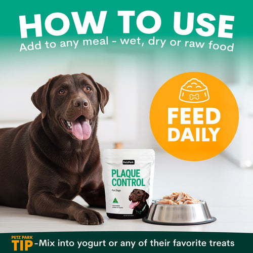 Plaque Control for Dogs