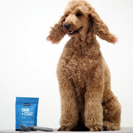Skin + Coat for Dogs