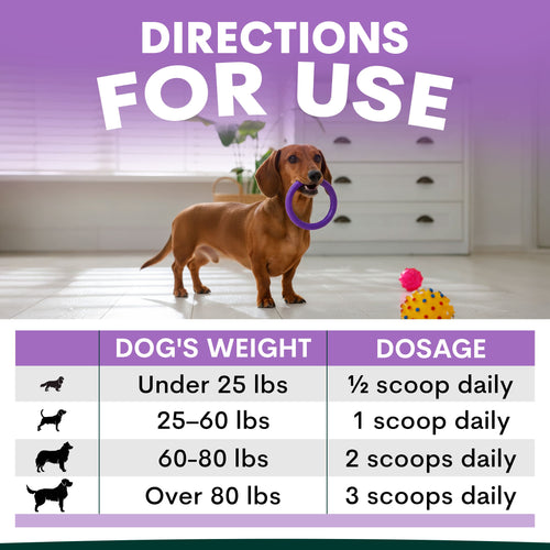 Stress + Anxiety for Dogs