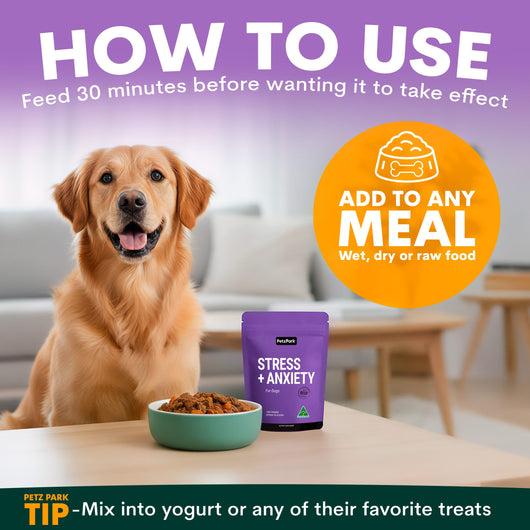 Stress + Anxiety for Dogs