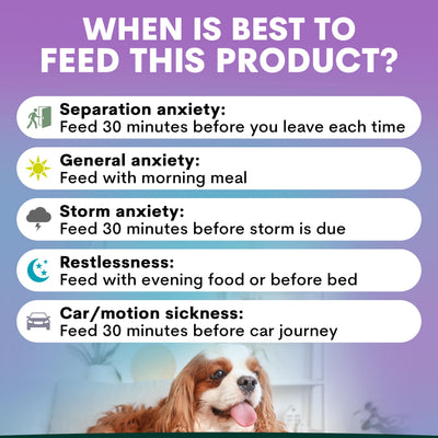 Stress + Anxiety for Dogs