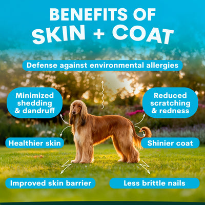 Skin + Coat for Dogs