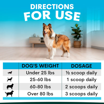 Skin + Coat for Dogs