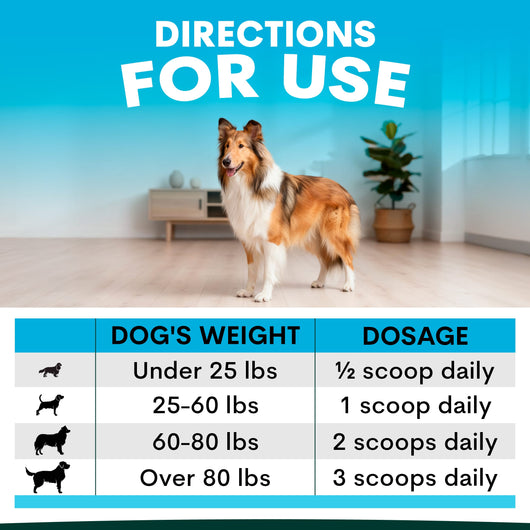 Skin + Coat for Dogs