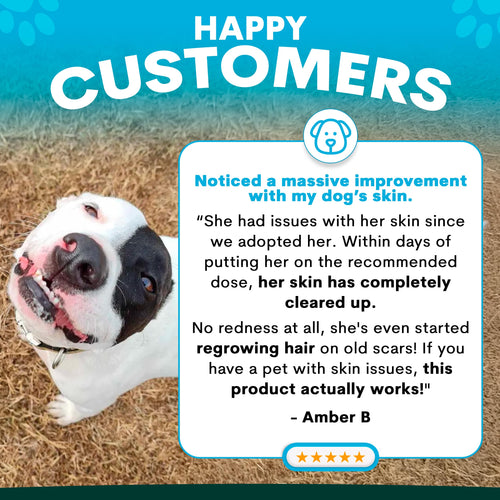 Skin + Coat for Dogs