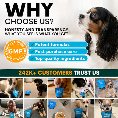 Skin + Coat for Dogs